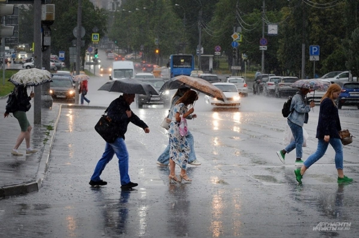 Планы в москве на выходные