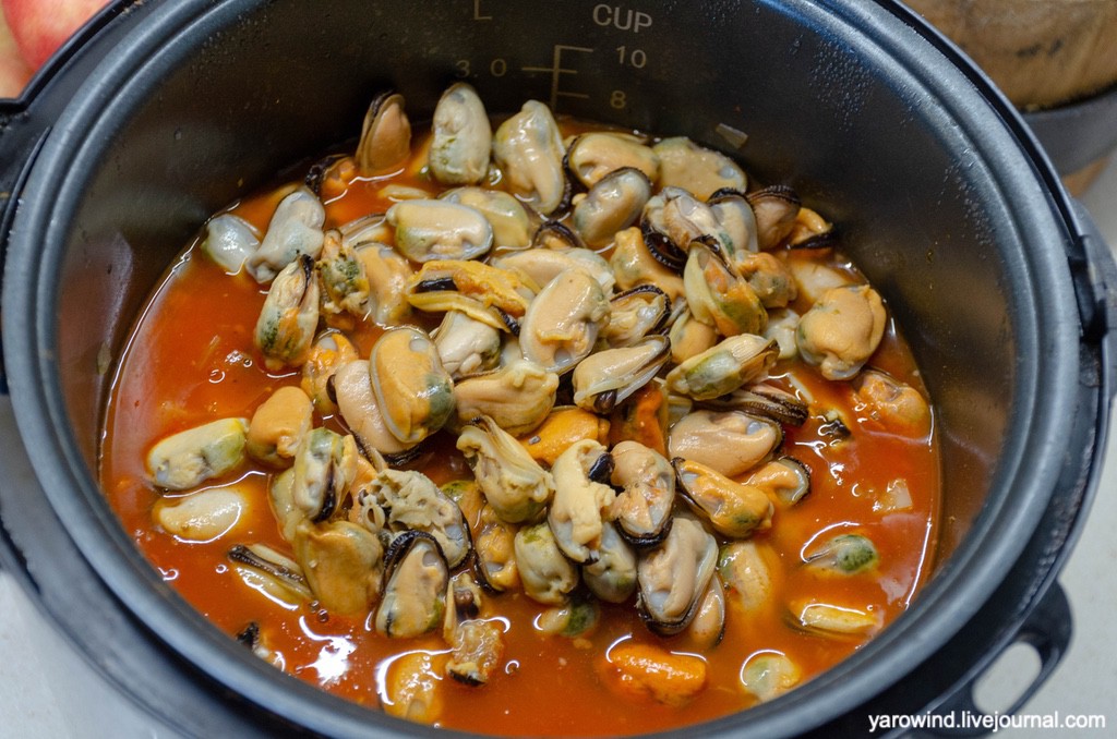 DSC_3338.jpg DSC_3338.jpg