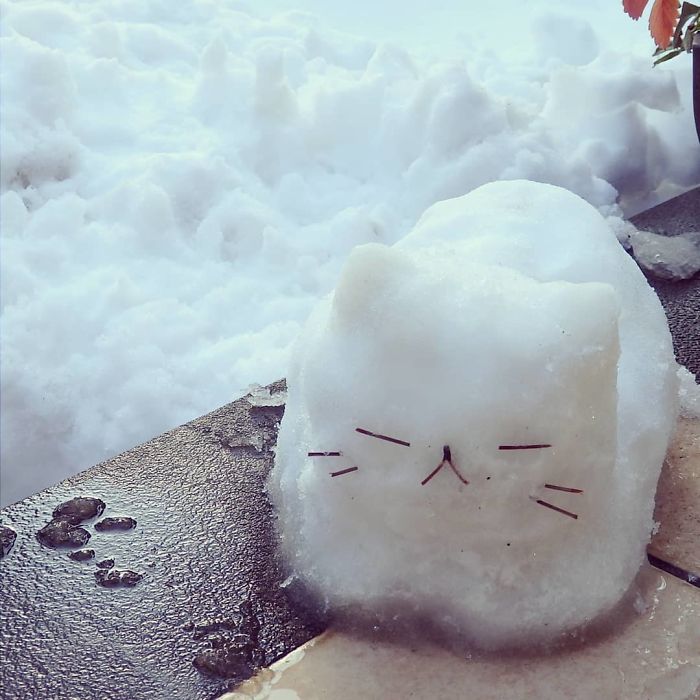 Heavy-Snow-Tokyo