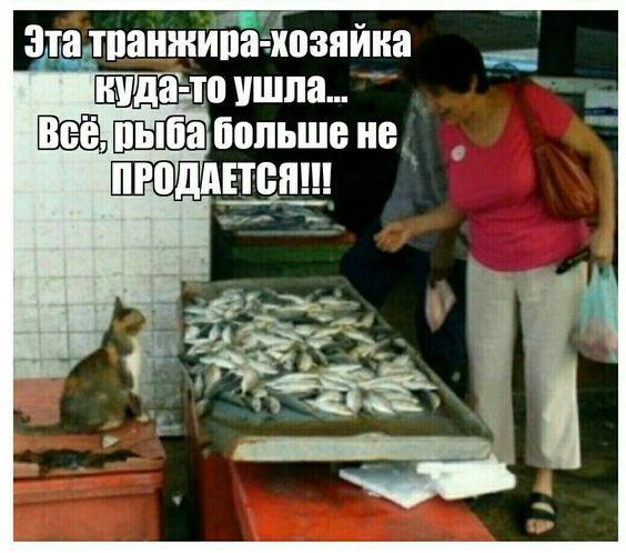 Шутки и приколы в свежей порции юмора Шутки и приколы в свежей порции юмора