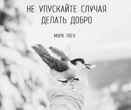 Позитивные фотографии и милые картинки для улыбки Позитивные фотографии и милые картинки для улыбки