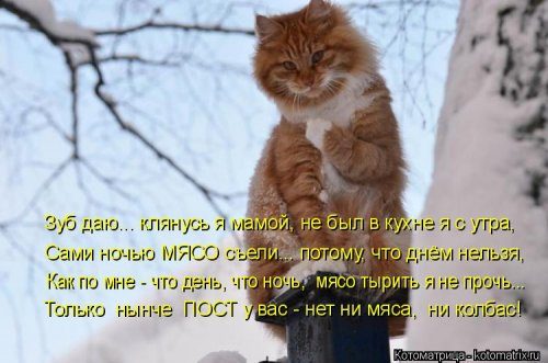 Ð£Ð¼Ð¾Ñ€Ð¸Ñ‚ÐÐÑŒÐ½Ñ‹Ð ÐºÐ¾Ñ‚Ð¾Ð¼ÐÑ‚Ñ€Ð¸Ñ†Ñ‹ Ð´ÐÑ Ð¾Ñ‚ÐÐ¸Ñ‡Ð½Ð¾Ð³Ð¾ Ð½ÐÑÑ‚Ñ€Ð¾ÐÐ½Ð¸Ñ