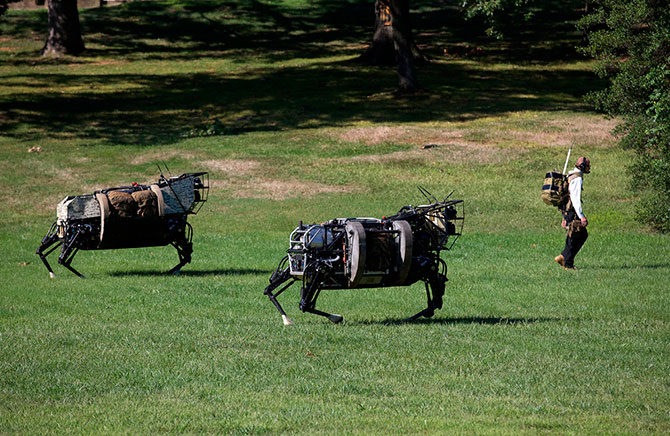 Роботы на работе