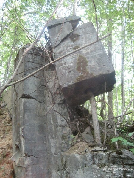 И да, это дерево проросло через кусок бетона военное, война, вросло, деревья, природа, пробитие