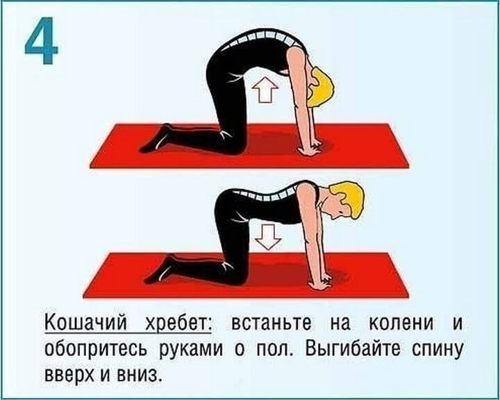 Волшебная десятка: Упражнения от болей в спине Волшебная десятка: Упражнения от болей в спине очень, спортзал, которые, домашних, условиях, положении, болей, предназначением Упражнения, своим, справляются, постоянно, правильном, спинеИх, помогают, мышцы, нагрузку, большую, получает, удерживать, необходимо