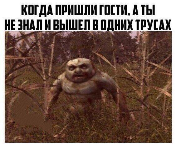 Свежие очень смешные картинки Свежие очень смешные картинки