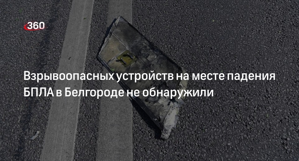 Мэр Демидов: на месте падения БПЛА в Белгороде не нашли взрывоопасных устройств