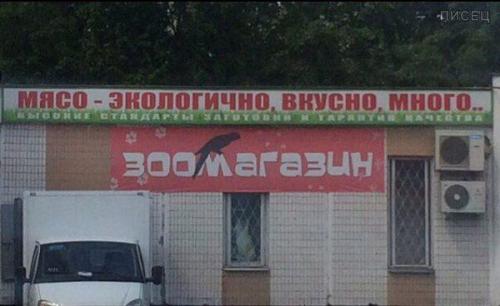 Вот так надо зарабатывать! Учись, молодёжь!