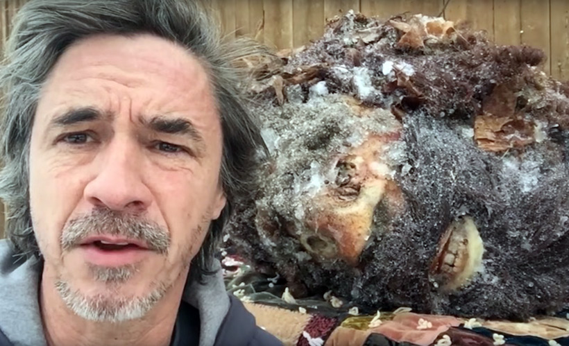 Питер Кейн опубликовал видео с замороженной головой Бигфута