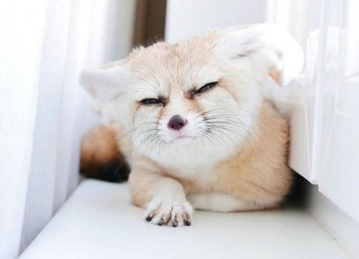 Подборка картинок. Дневной выпуск (50 фото)