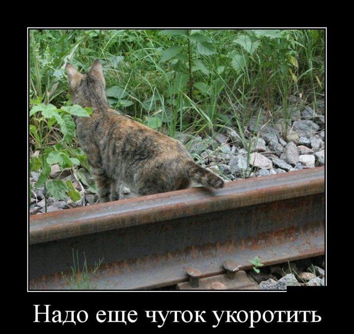 Пятничные веселые демотиваторы из нашей жизни для хорошего настроения Пятничные веселые демотиваторы из нашей жизни для хорошего настроения демотиваторы свежие,приколы,смешные демотиваторы,юмор