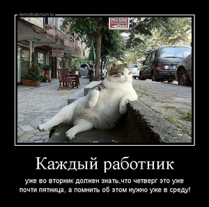 Подборка смешных, забавных и веселых демотиваторов со смыслом для хорошего настроения Подборка смешных, забавных и веселых демотиваторов со смыслом для хорошего настроения демотиваторы свежие,приколы,смешные демотиваторы,юмор
