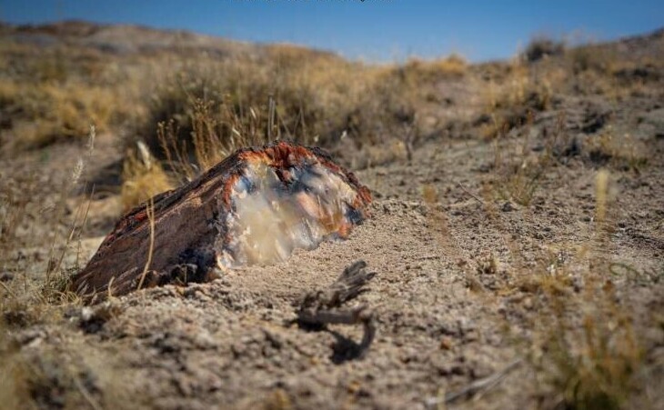 Фотография: 40 отборных картинок для того, чтобы немного отвлечься №20 - BigPicture.ru