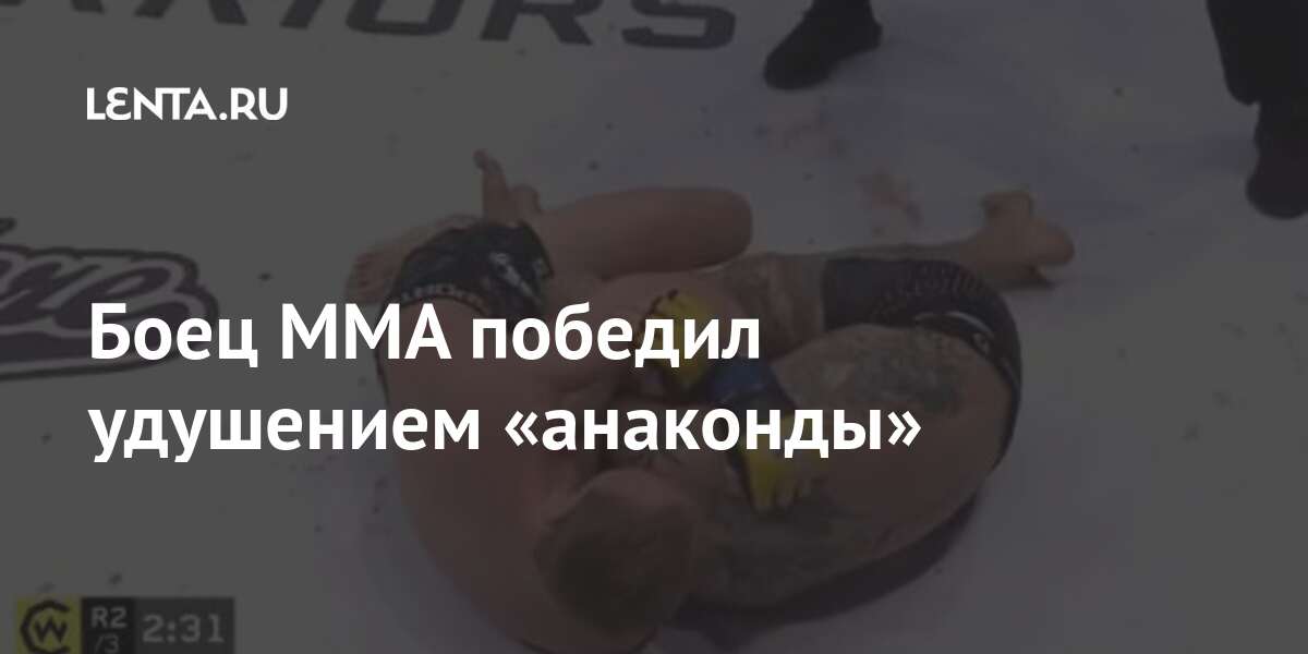 Боец MMA победил удушением «анаконды» Warriors, шести, серию, среди, представителей, полусреднего, весаТакже, рамках, победы, нокаутом, добился, Гэрри, продлил, Британский, успехов, финал, поединковНа, счету, Гранта, побед