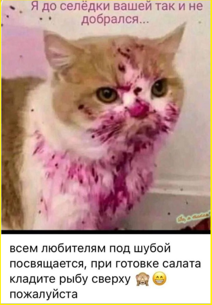 Прикольные картинки с веселыми подписями 