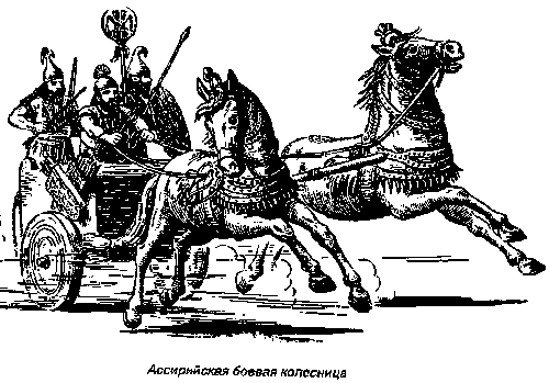 Танки древности - боевые колесницы и слоны история