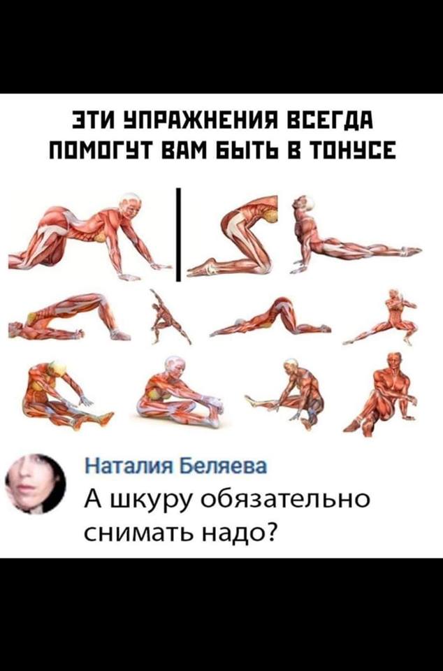 Поезда дальнего следования дают людям возможность в полной мере почувствовать себя домашним котом