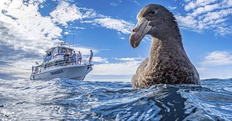 Фотография: 40 отборных картинок для того, чтобы немного отвлечься №12 - BigPicture.ru