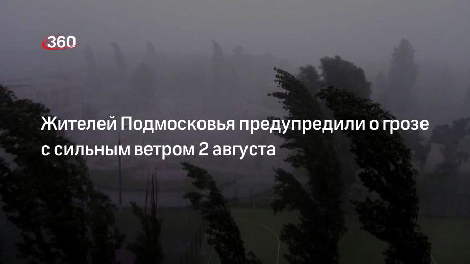 Жителей Подмосковья предупредили о грозе с сильным ветром 2 августа