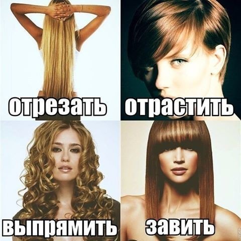 О непобедимой женской логике