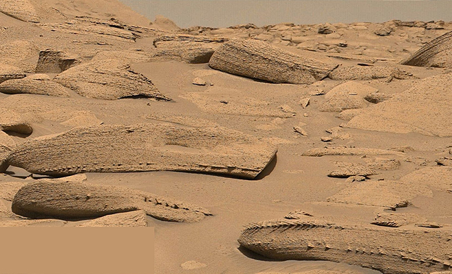 На Марсе найдена формация, похожая на часть гигантского окаменевшего существа. Ранее в кратере был океан: видео предположительно, Марсе, кратера, гигантского, ровер, настоящий, окаменевшего, огромного, всего, давно, выглядит, Марса, несколько, Curiosity, подобные, обычного, найти, реальны, бесплодного, пейзажа Объект