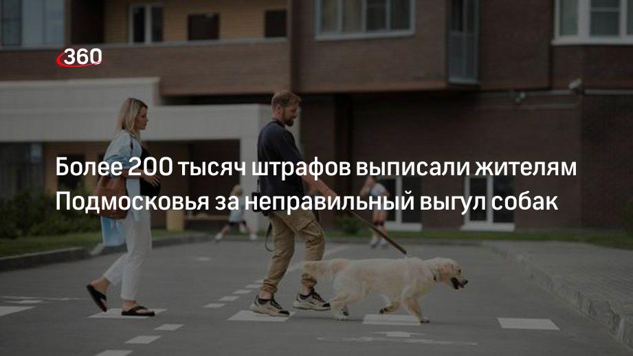 Более 200 тысяч штрафов выписали жителям Подмосковья за неправильный выгул собак