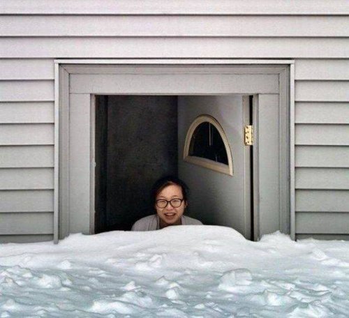 Прикольные картинки радуют всех Прикольные картинки радуют всех