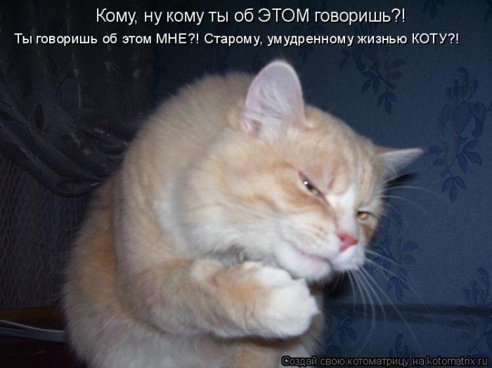 Мысли вслух :)