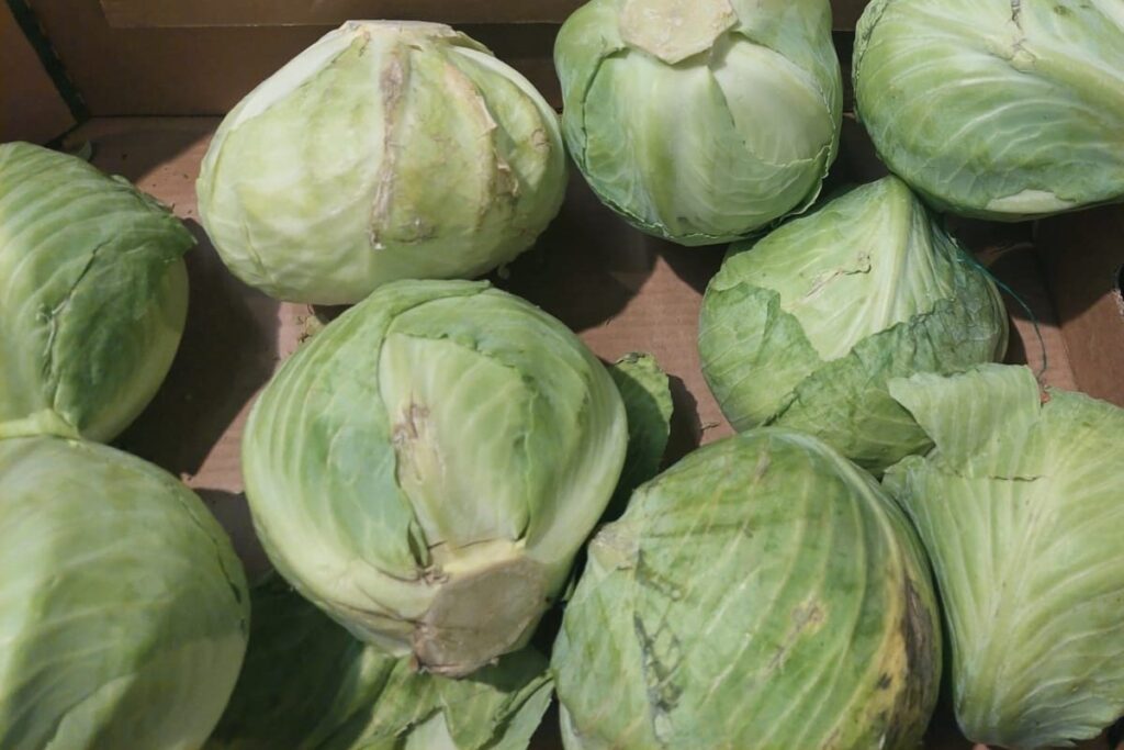 Сколько варить капусту, чтобы она была идеальной: секреты опытных хозяек