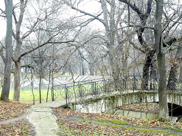 Приднестровье. Маленькая гордая страна Приднестровье. Маленькая гордая страна геополитика