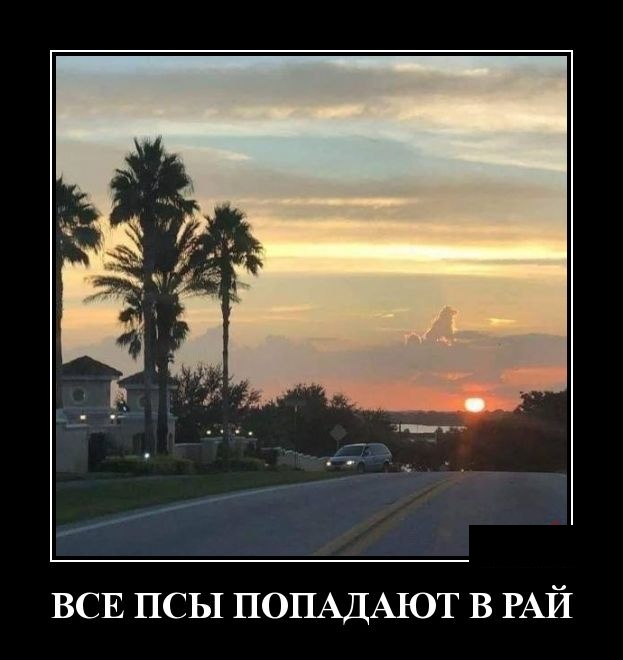 Самые новые демотиваторы Самые новые демотиваторы демотиваторы