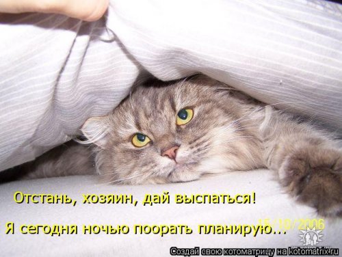 Новая котоматрица (21 фото)
