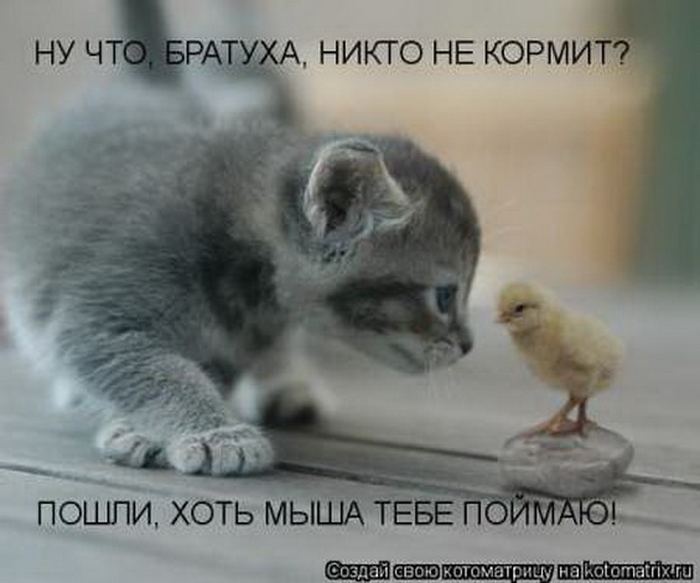 Мысли вслух :)