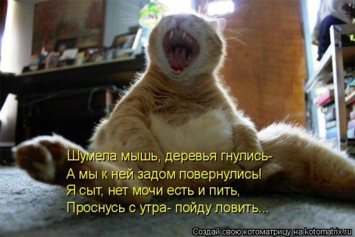 Ð£Ð¼Ð¾Ñ€Ð¸Ñ‚ÐÐÑŒÐ½Ñ‹Ð ÐºÐ¾Ñ‚Ð¾Ð¼ÐÑ‚Ñ€Ð¸Ñ†Ñ‹ Ð´ÐÑ Ð¾Ñ‚ÐÐ¸Ñ‡Ð½Ð¾Ð³Ð¾ Ð½ÐÑÑ‚Ñ€Ð¾ÐÐ½Ð¸Ñ