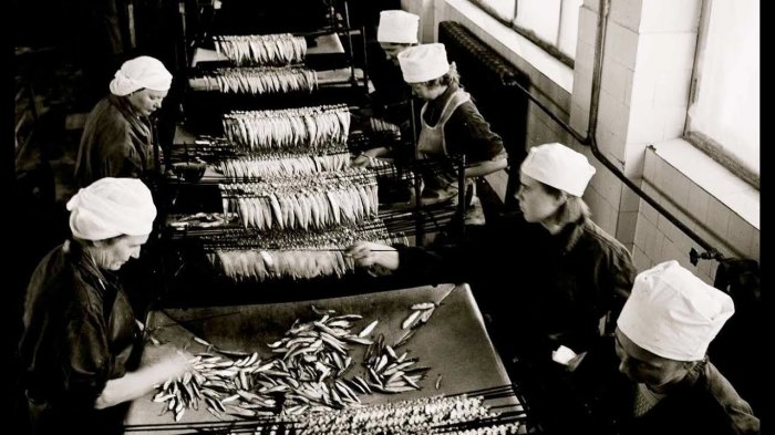 Заводы в СССР по переработке рыбы работали на полную мощность / Фото: www.youtube.com