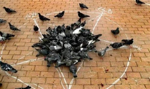 30 фотографий, на которых что-то не так 30 фотографий, на которых что-то не так смешные картинки