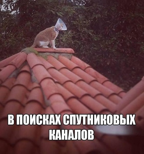 Шутки и приколы в свежей порции юмора Шутки и приколы в свежей порции юмора