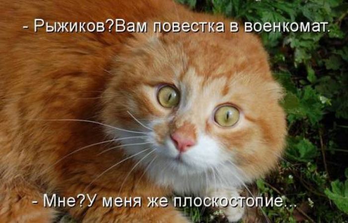 Мысли вслух :)
