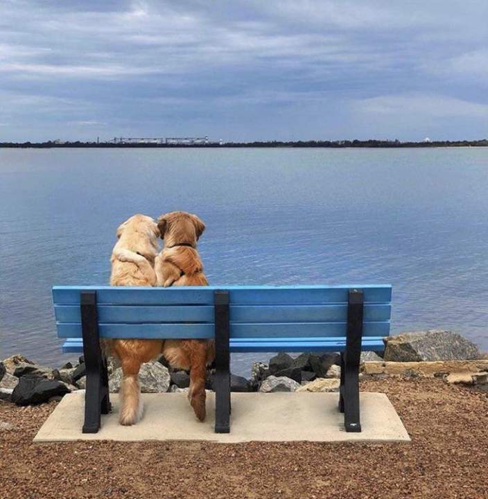 Если от вас ушла жена к соседу, не отчаивайтесь: теперь вы — сосед! Если от вас ушла жена к соседу, не отчаивайтесь: теперь вы — сосед! анекдоты,веселые картинки,приколы,юмор