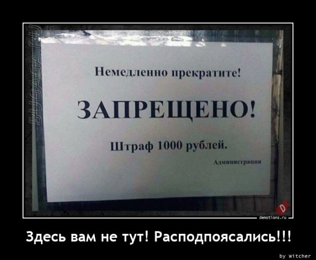 Демотиваторы дня: «Овощ, который знает ВСЁ!»  