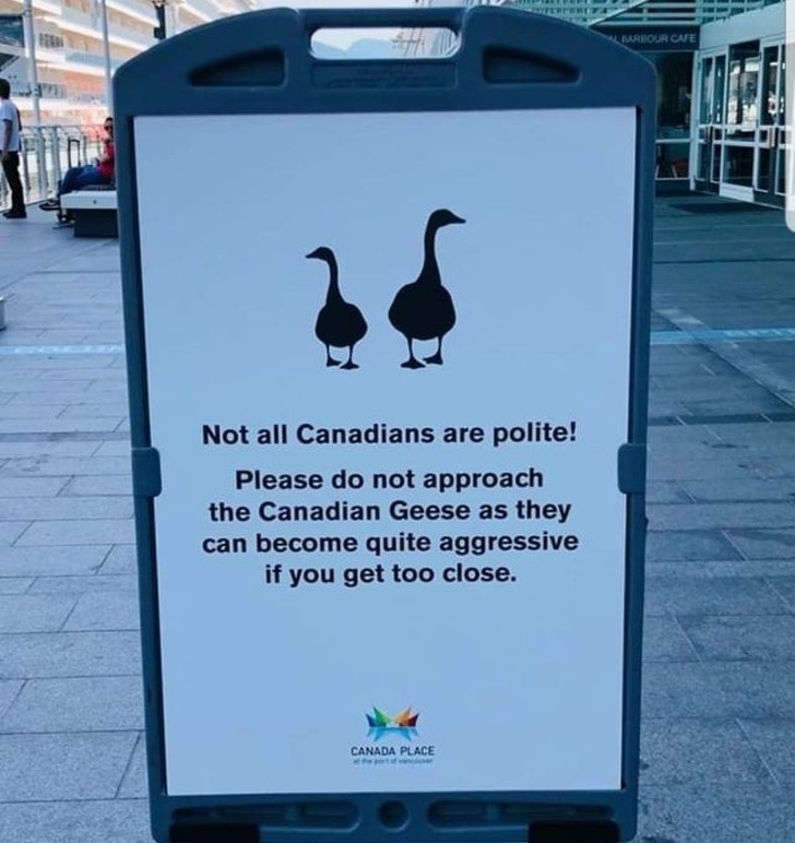 15+ вещей, доказывающих, что Канада — уникальная страна