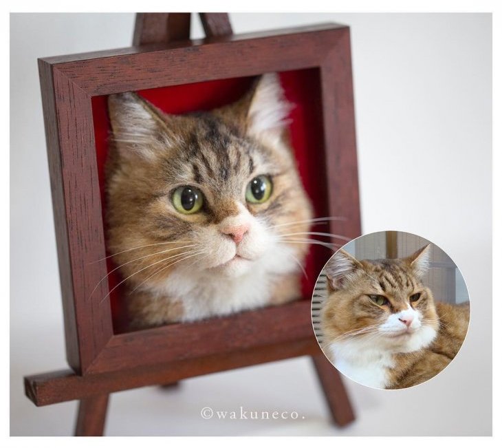 Новый японский тренд - 3D-портреты кошек