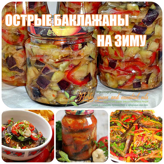 Вкусные Острые Салаты На Зиму Вкусные Острые Салаты На Зиму