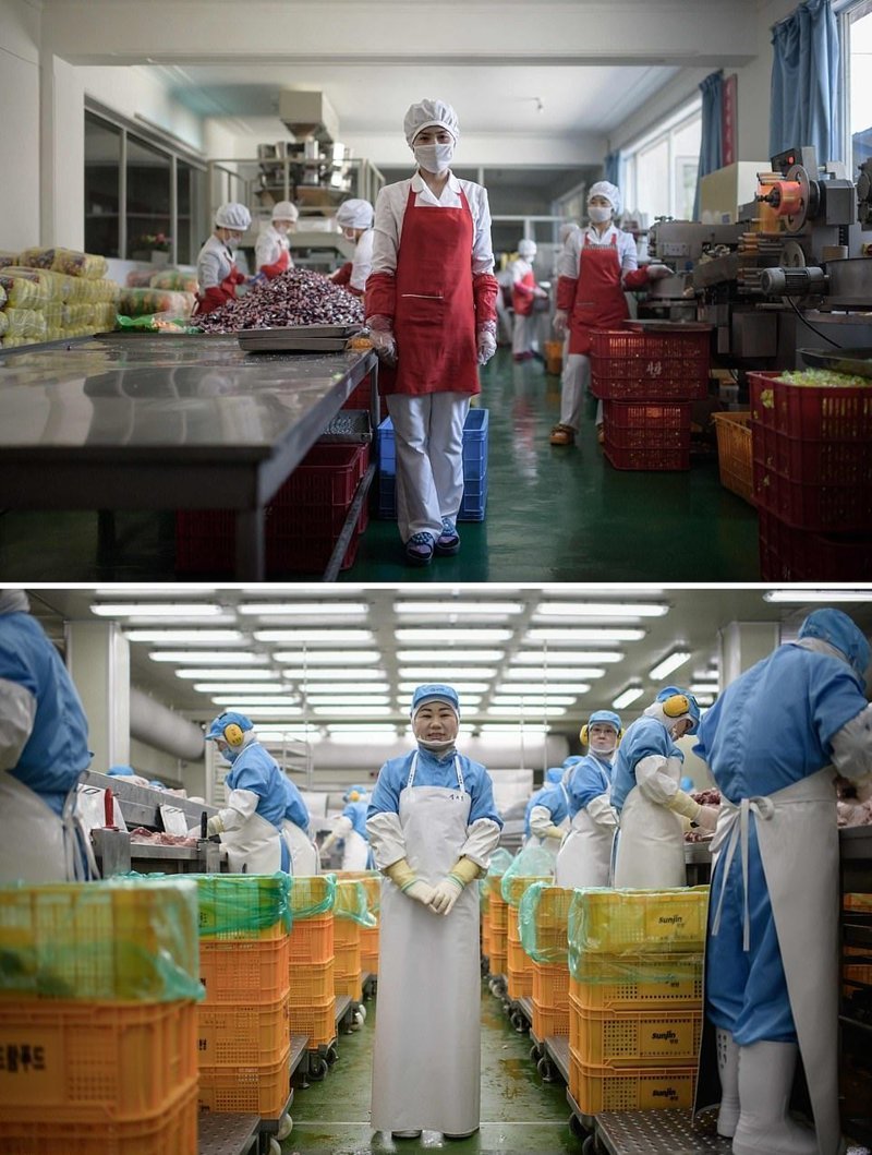 Вверху — 27-летняя работница пищевого предприятия недалеко от портового города Вонсан, Северная Корея. Внизу — 49-летняя женщина, работающая на заводе Spam, Сеул кндр, люди, северная корея, сравнение, страны, южная корея