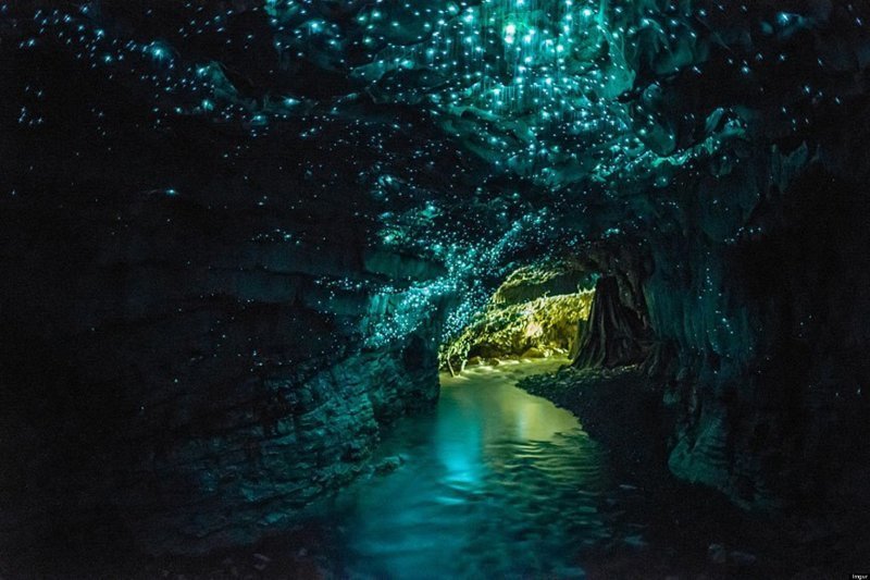 Вайтомо — пещеры светлячков в Новой Зеландии интеренсое, планета земля, туризм