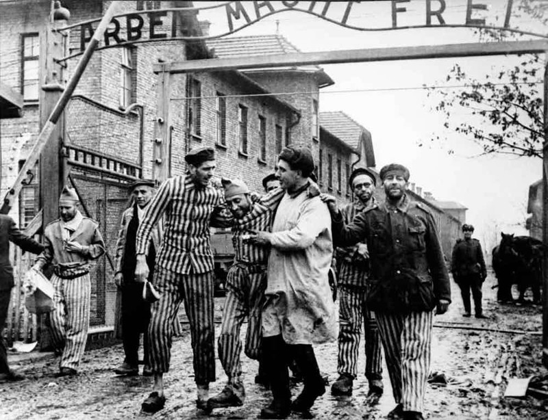 Первые отчеты из концлагерей были восприняты как фальшивка вторая мировая, факты, холокост