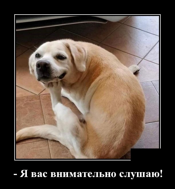Очередная подборка прикольных и смешных демотиваторов 