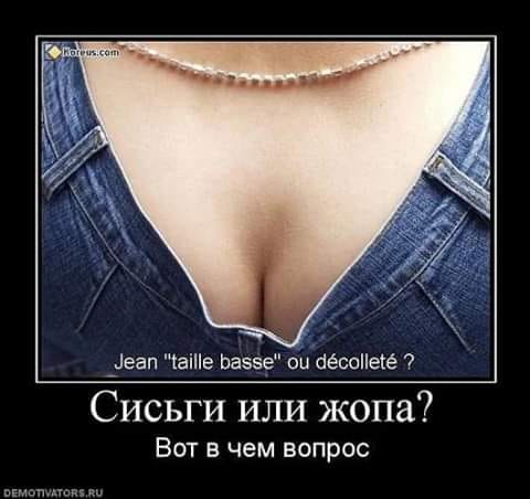 Приходит начальник в отдел кадров.. анекдоты