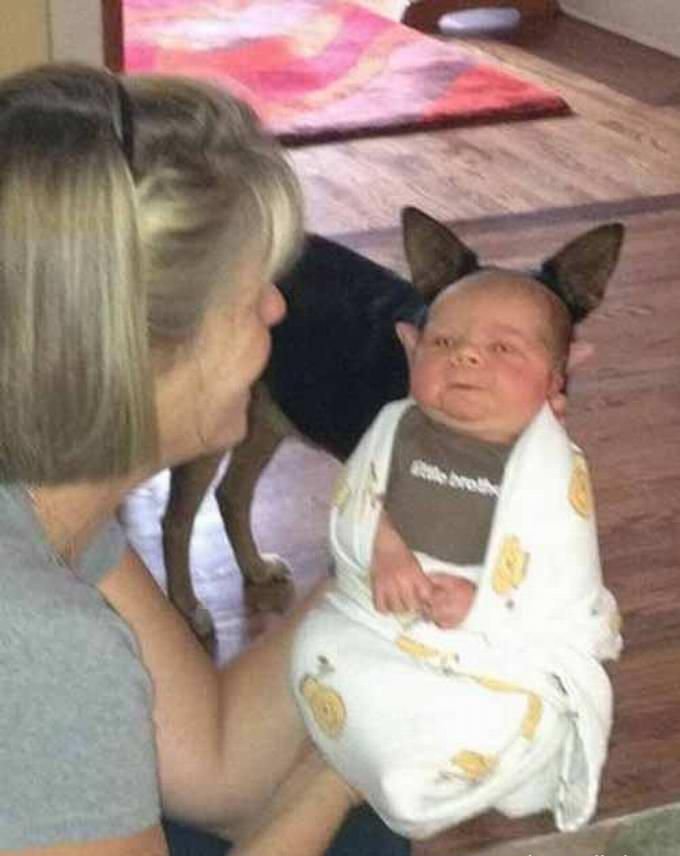 Подборка фото о случайных совпадениях Подборка фото о случайных совпадениях