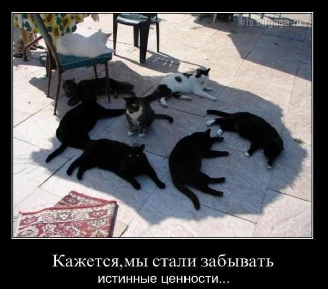 Новые демотиваторы и ненависть к будильникам Новые демотиваторы и ненависть к будильникам